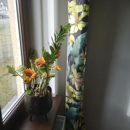 Apartament Stary Piec Zdroj Appartamento Jedlina-Zdroj